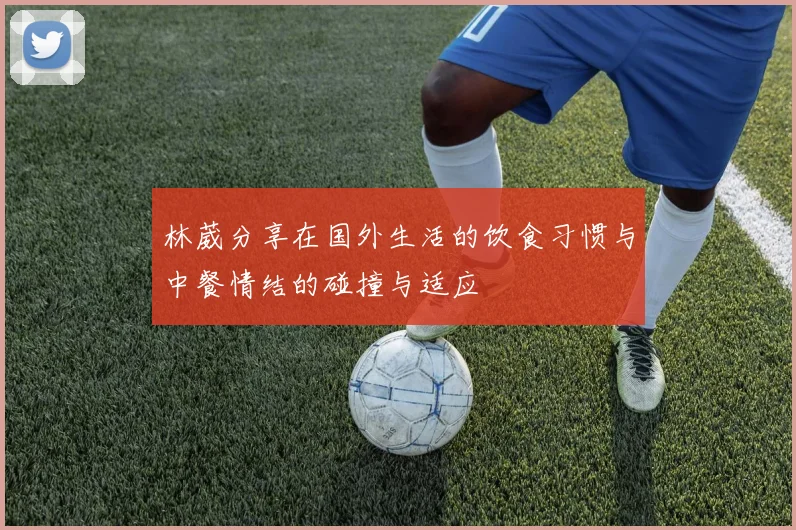 林葳分享在国外生活的饮食习惯与中餐情结的碰撞与适应