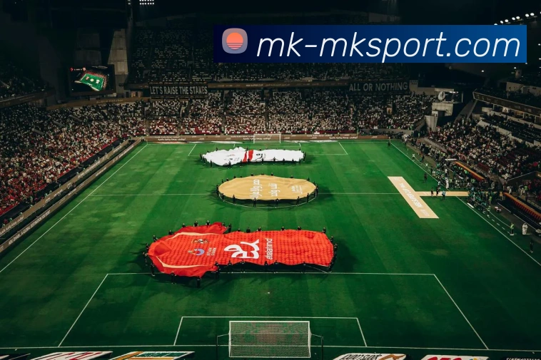 多媒体互动体验