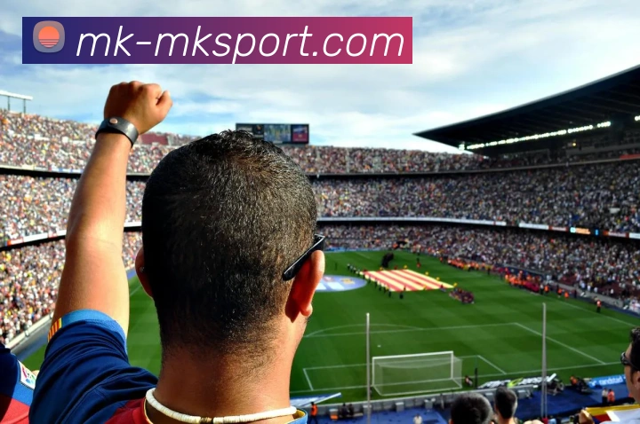 MK体育APP 高清赛事图